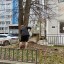 Всероссийский субботник в Архангельском 1 Всероссийский субботник в Архангельском 1