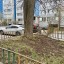 Всероссийский субботник в Архангельском 3 Всероссийский субботник в Архангельском 3