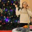 Новогодний переполох 13