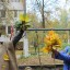 Игровая программа "Осенние забавы" 27 Игровая программа "Осенние забавы" 27