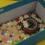 Познавательная программа "Чудотворец Николай" 18 Познавательная программа "Чудотворец Николай" 18