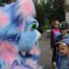 Развлекательная программа "Вот оно какое наше лето" 24