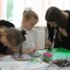 Выставка "Первые успехи" 7 Выставка "Первые успехи" 7