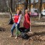 Субботник 2
