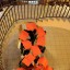 Всероссийская акция "Должен знать!" 10