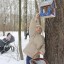 Акция "Покорми птиц" 20