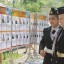 Праздничное мероприятие "Салют, Победа!" 52 Праздничное мероприятие "Салют, Победа!" 52