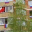 День Победы 6 День Победы 6