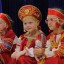Осенние хлопоты 0