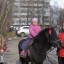 Широкая Масленица 38 Широкая Масленица 38